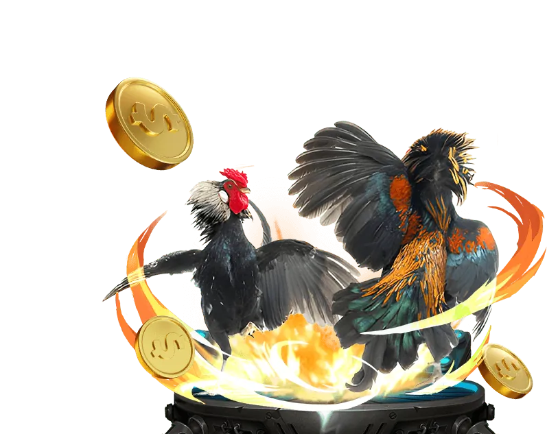 Đá gà trực tuyến x88 shop với trải nghiệm chuyên nghiệp